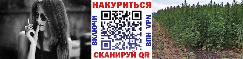 Купить ГАШ  Метамфетамин  КОКАИН  A-PVP  МЕФ  Канабис  Ленинск