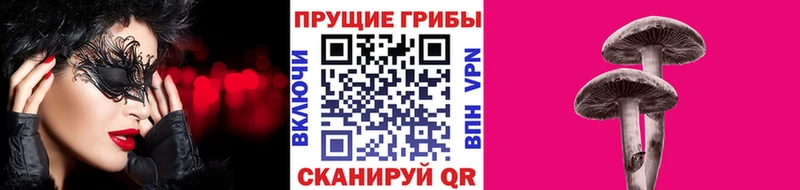 Купить закладки  Ленинск  Галлюциногенные грибы Cubensis 