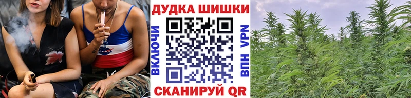Купить  Ленинск  Каннабис планчик 
